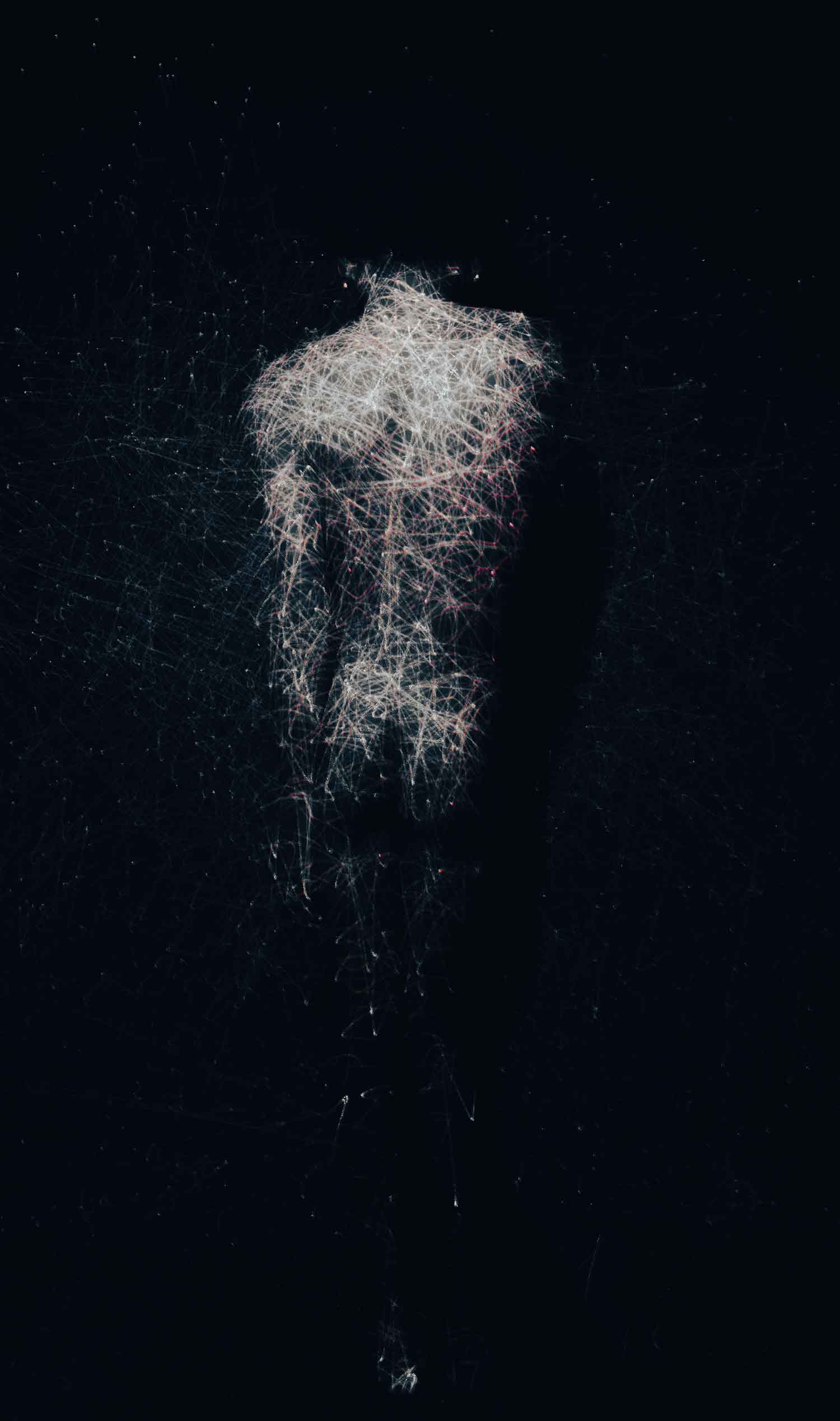 El cuerpo y la mente celebra el nuevo renacer, un viaje visual de cambio y revivir constante.